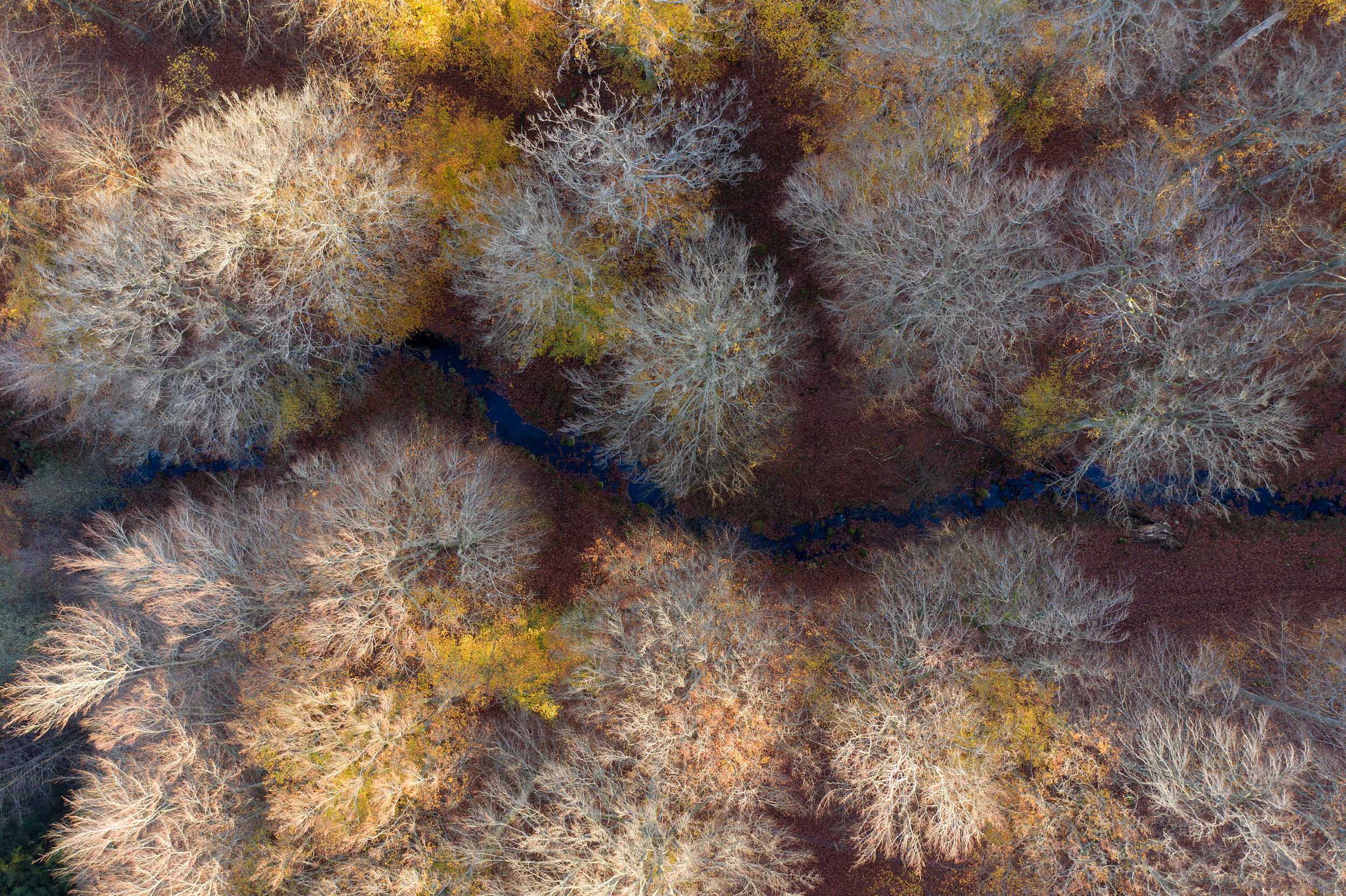 The River’s Thread