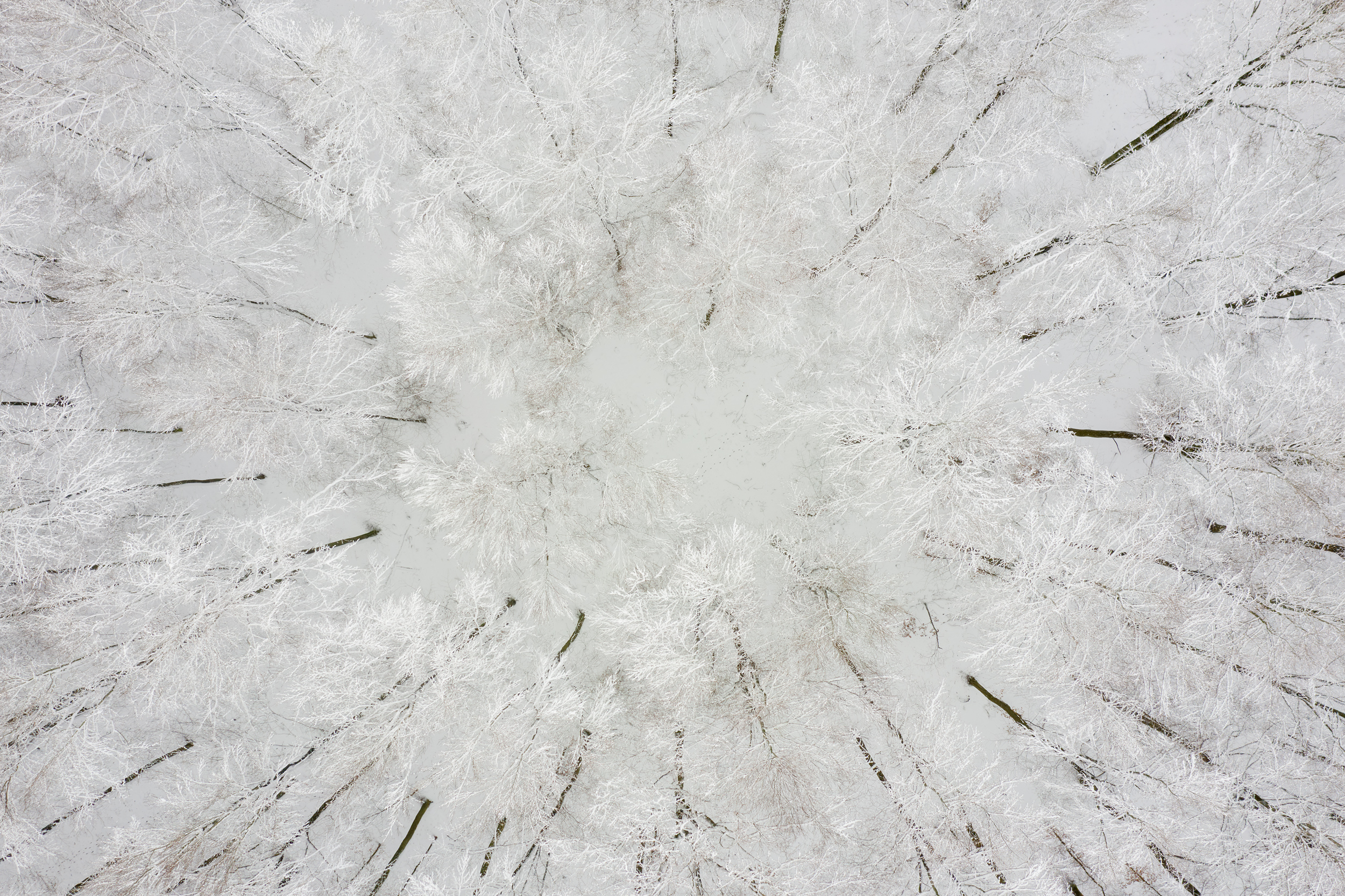 Frozen Sentinels
