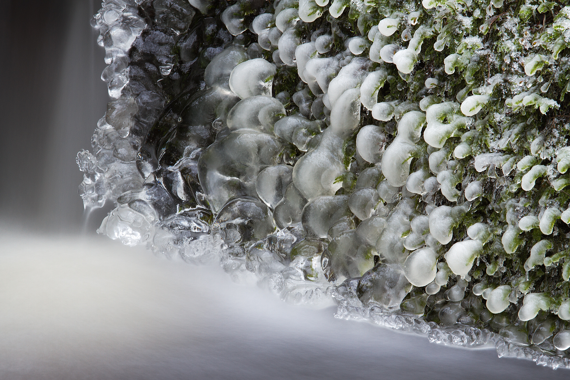Ice Sculptures and Figures