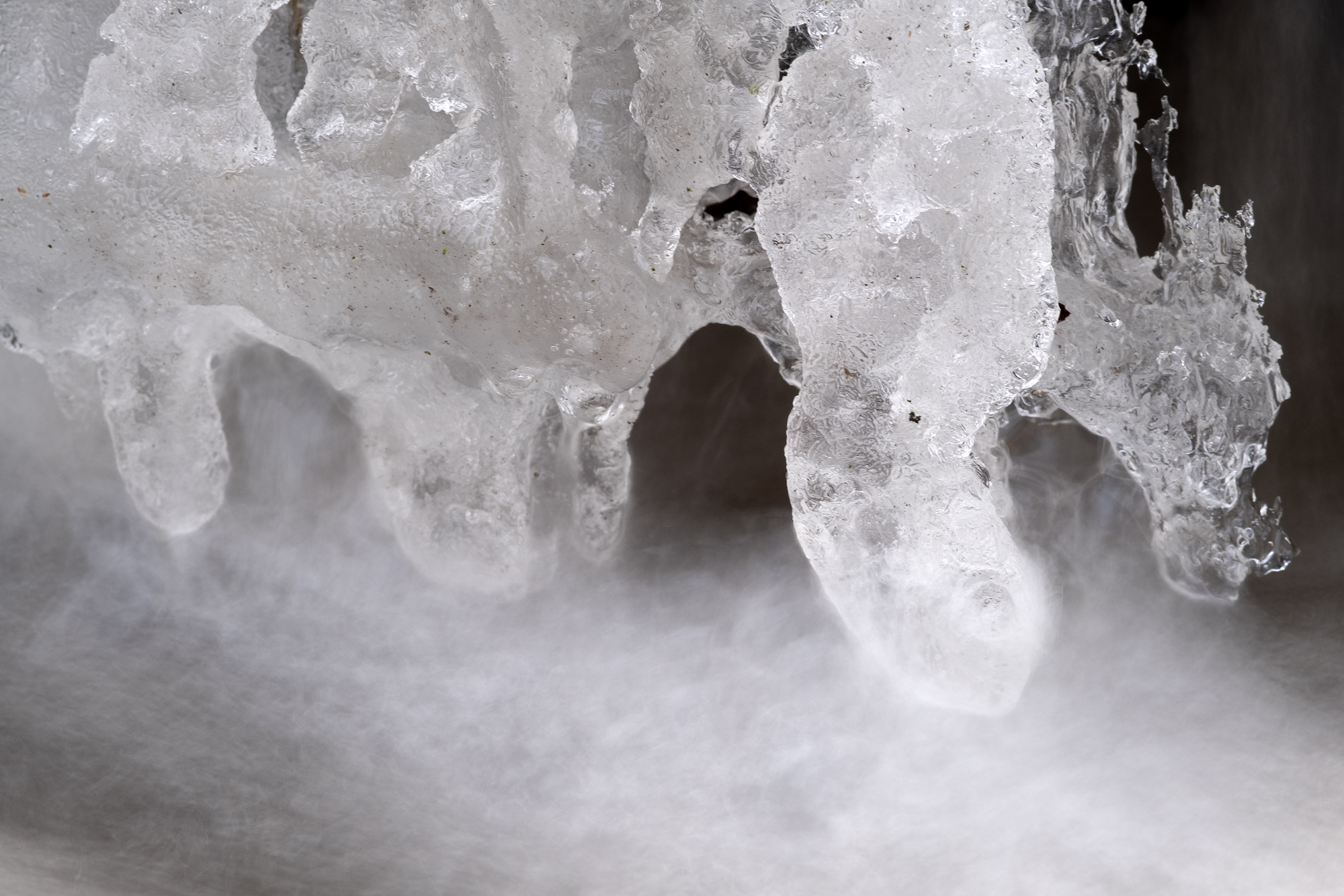 Ice Sculptures and Figures