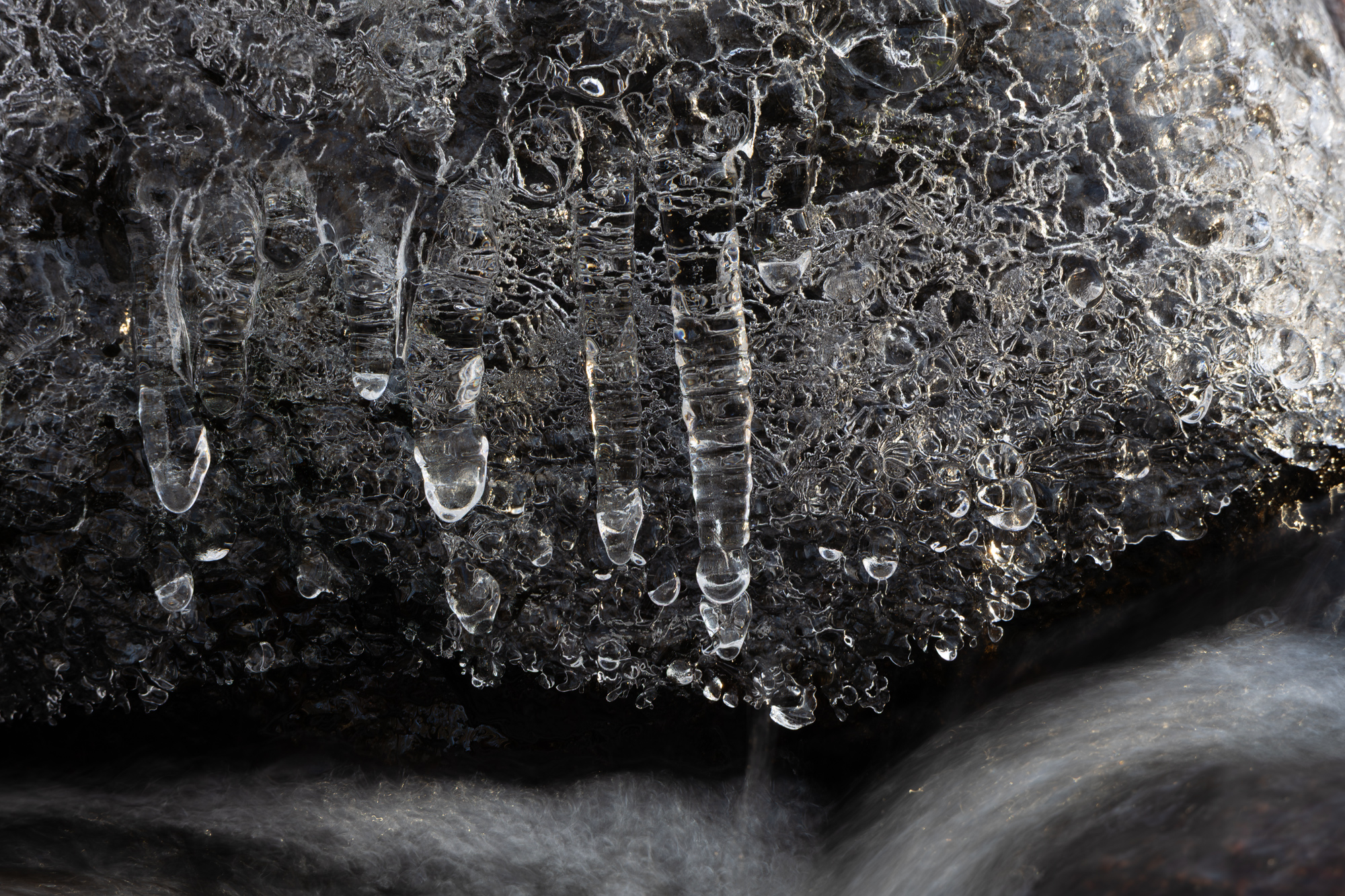 Ice Sculptures and Figures