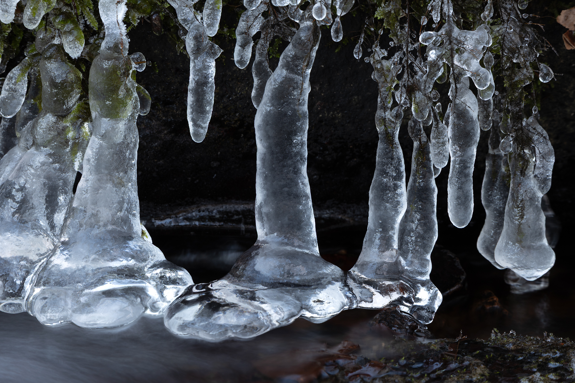 Ice Sculptures and Figures