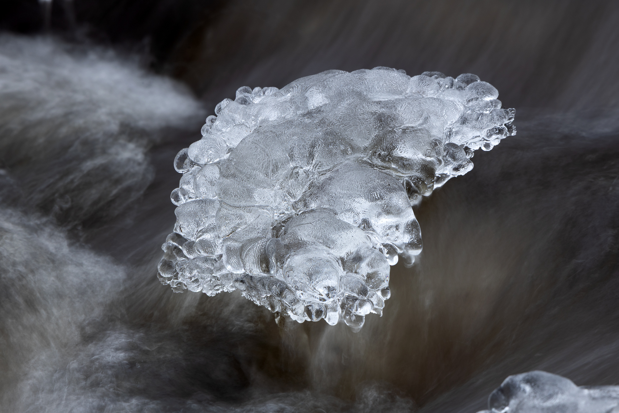Ice Sculptures and Figures